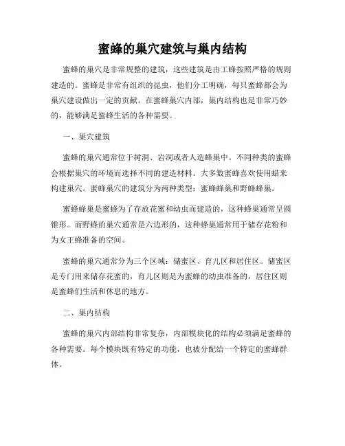 蜜蜂的巢穴建筑与巢内结构
