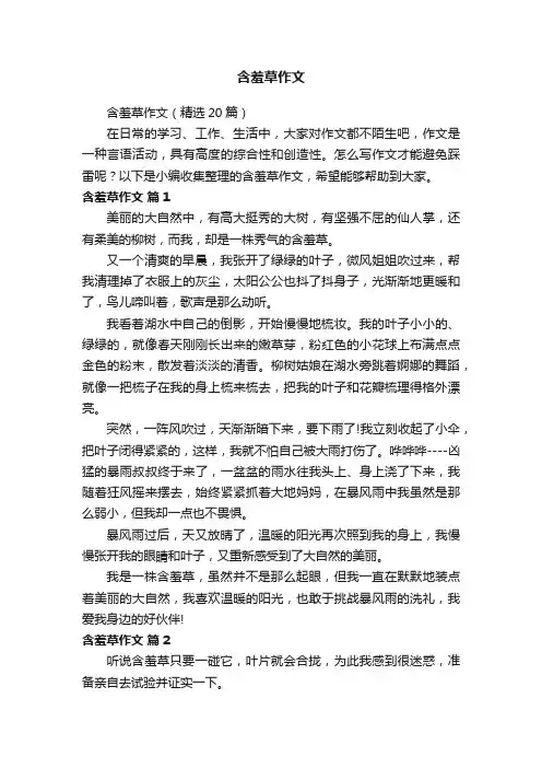 含羞草作文（精选20篇）