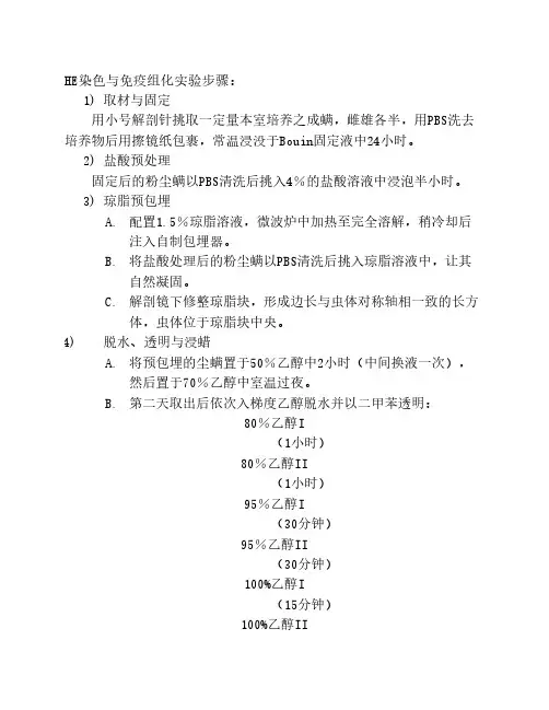 HE染色与免疫组化