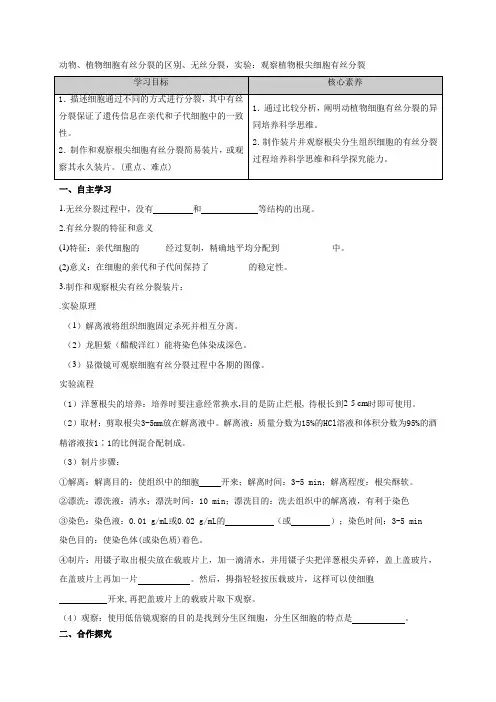 苏教版(2019)必修一  4-1 无丝分裂、实验：观察植物根尖细胞的有丝分裂  学案