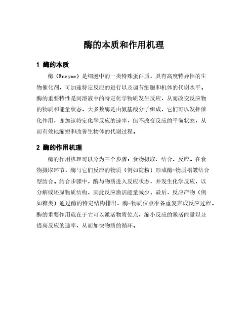 酶的本质和作用机理
