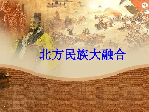 ★第20课 北方民族大融合 中央电教馆资源中心制作PPT课件