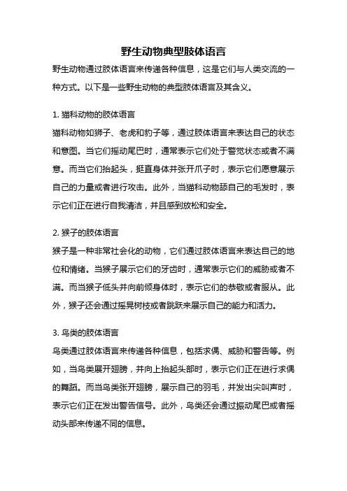 野生动物典型肢体语言