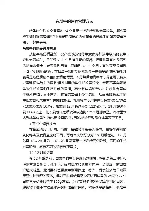 育成牛的饲养管理方法