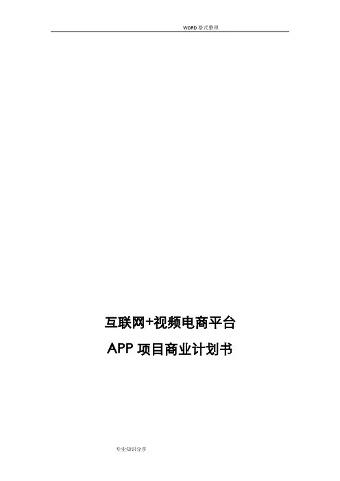 互联网+电商平台APP项目商业实施计划书模板