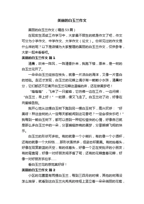 美丽的白玉兰作文