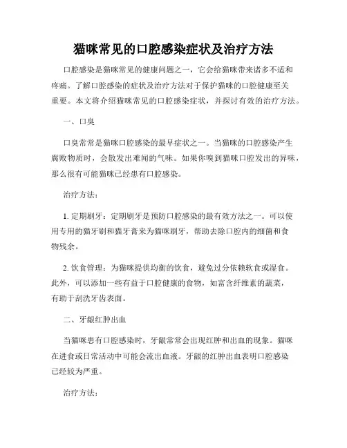 猫咪常见的口腔感染症状及治疗方法