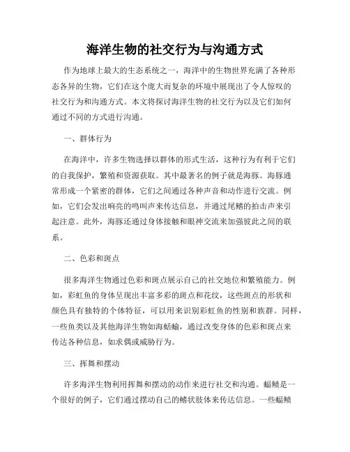 海洋生物的社交行为与沟通方式