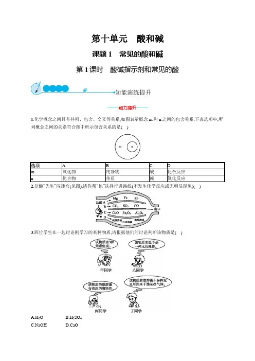 2019新人教版化学九下练习  酸碱指示剂和常见的酸