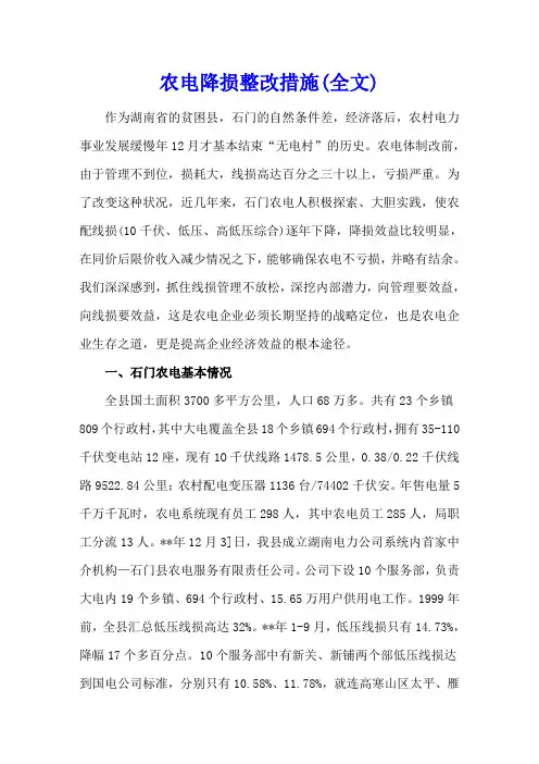 农电降损整改措施(全文)