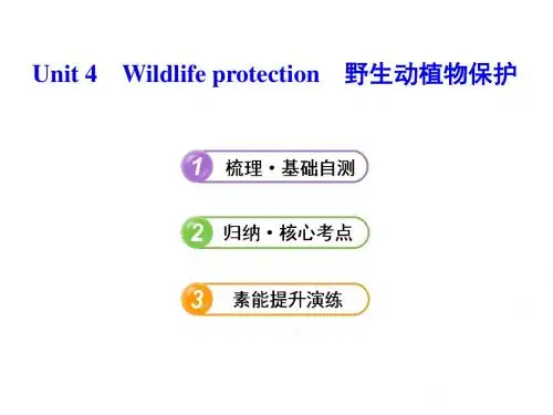：必修2 Unit4 Wildlife_protection(人教版)