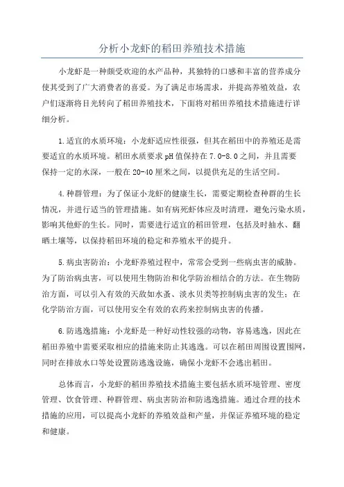 分析小龙虾的稻田养殖技术措施