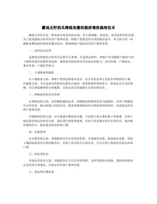 露地无籽西瓜稀植免整枝提质增效栽培技术