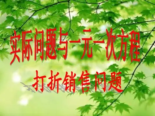 刘冬冬一元一次方程-打折销售问题