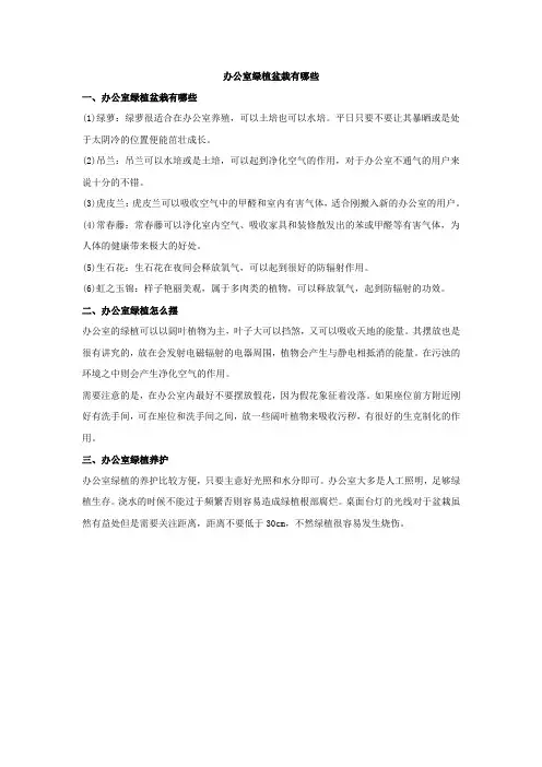 办公室绿植盆栽有哪些【经典推荐】