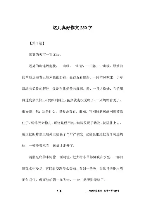这儿真好作文250字