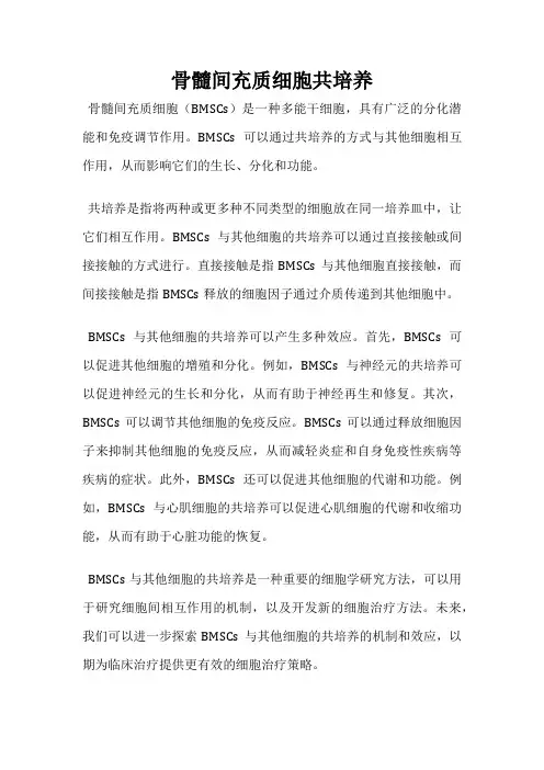 骨髓间充质细胞共培养