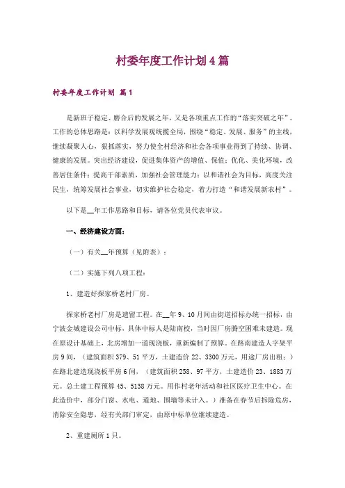 村委年度工作计划4篇