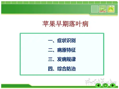 苹果早期落叶病