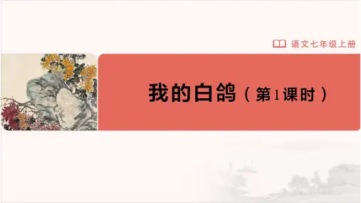 七年级-统编版(2024新版)-语文-上册-[教学课件]-18-我的白鸽(第1课时)