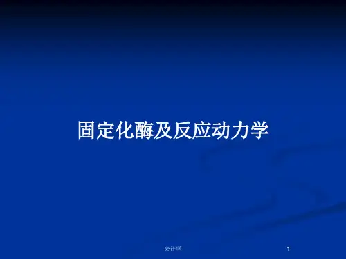 固定化酶及反应动力学PPT教案