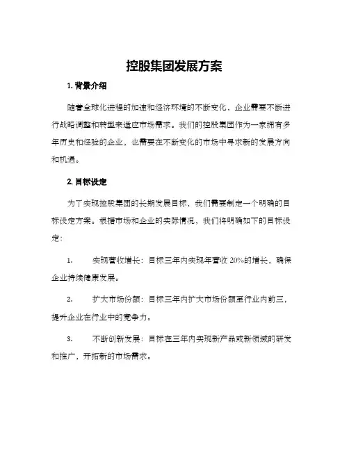 控股集团发展方案