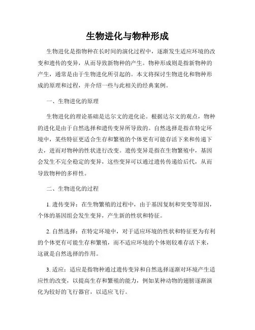 生物进化与物种形成
