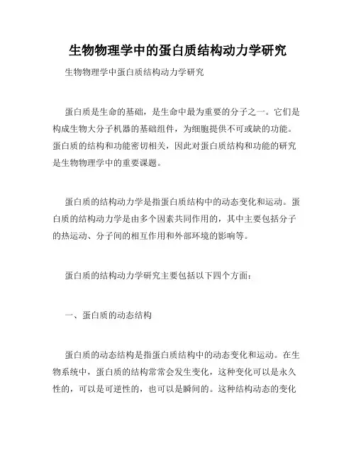 生物物理学中的蛋白质结构动力学研究