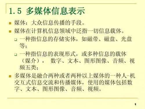 大学计算机基础1.5 多媒体信息表示