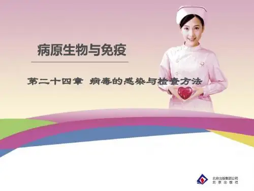 24第二十四章  病毒的感染与检查方法