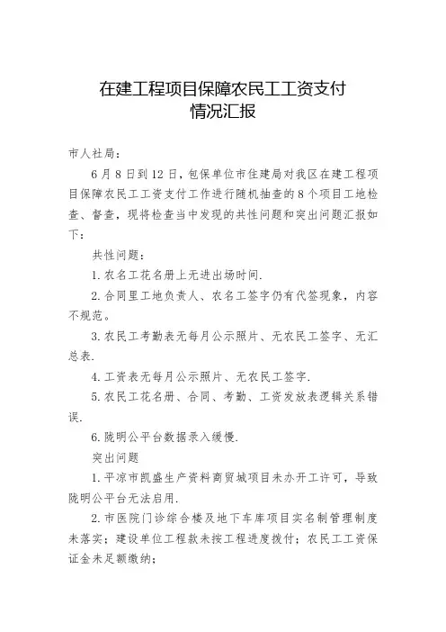 在建项目保障农民工工资支付工作情况汇报