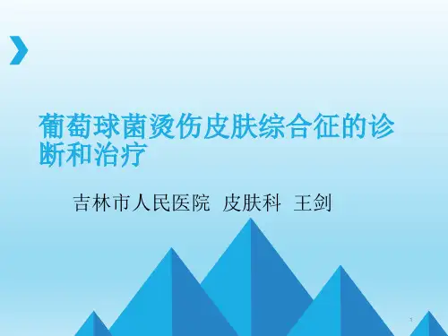 葡萄球菌烫伤皮肤综合征的诊断和治疗PPT课件