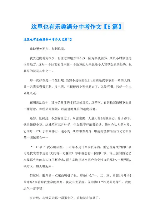 这里也有乐趣满分中考作文【5篇】