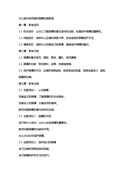 幼儿园中班明亮的眼睛主题教案