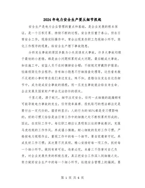 2024年电力安全生产要从细节抓起(三篇)