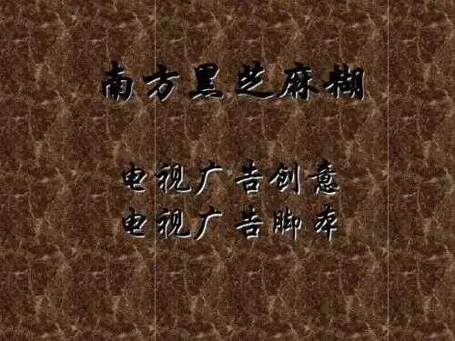 TV-南方黑芝麻糊创意脚本与表现.pps