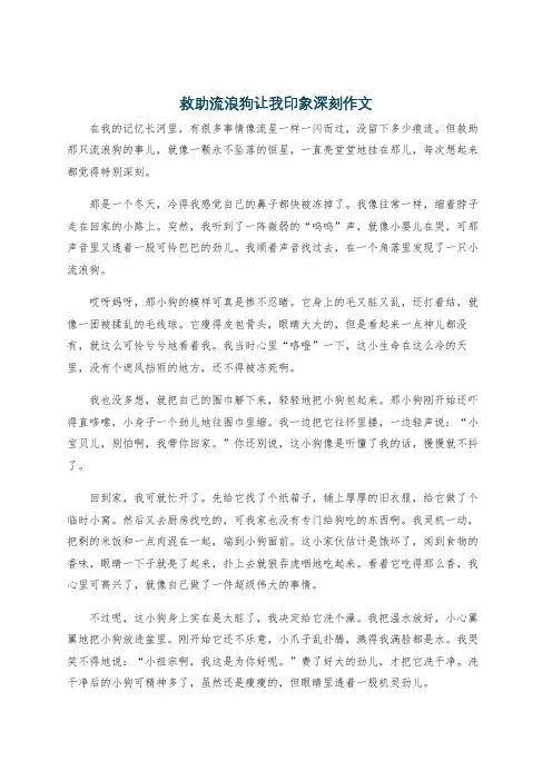 救助流浪狗让我印象深刻作文