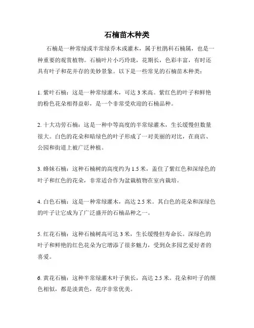 石楠苗木种类