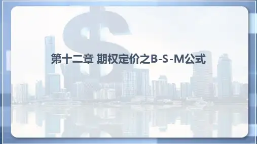 金融工程 第12章 期权定价之B-S-M公式