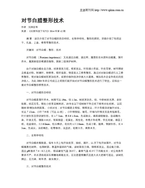 对节白腊整形技术