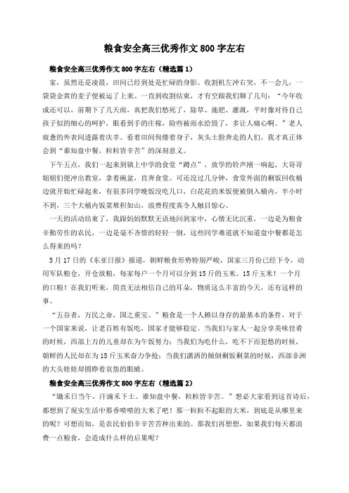 粮食安全高三优秀作文800字左右