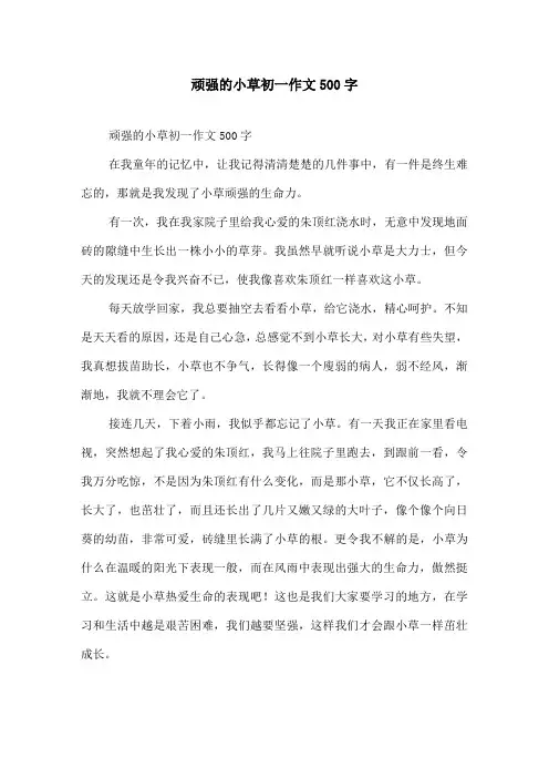 顽强的小草初一作文500字