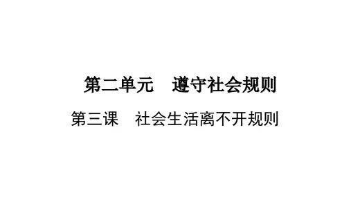 维护秩序 部编版道德与法治八年级上册 (2)