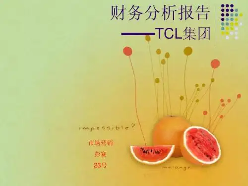 TCL财务分析报告  彭赛