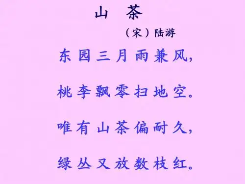 山茶花课件