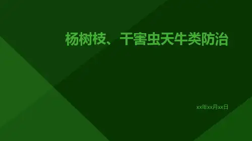 杨树枝、干害虫天牛类防治