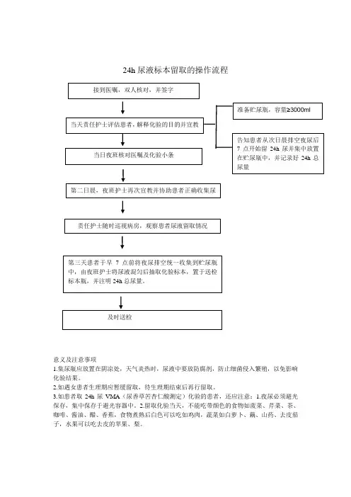 24h尿标本