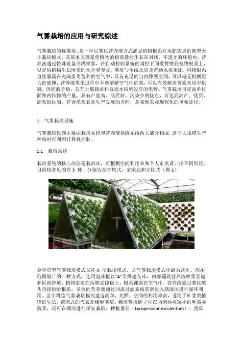 气雾栽培的应用与研究综述