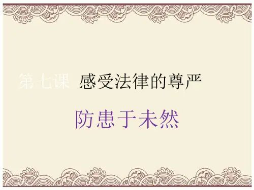 初中政治  防患于未然2 人教版  优秀公开课件