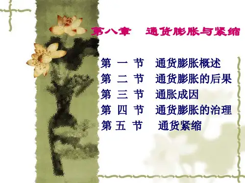 金融学pp课件第八章